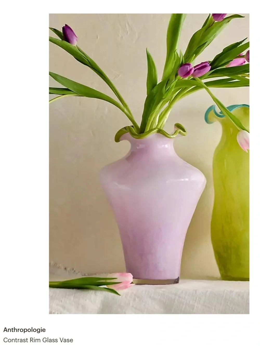 Anthropologie Terrain Hand blown Contrast Rim Glass Vase NEW